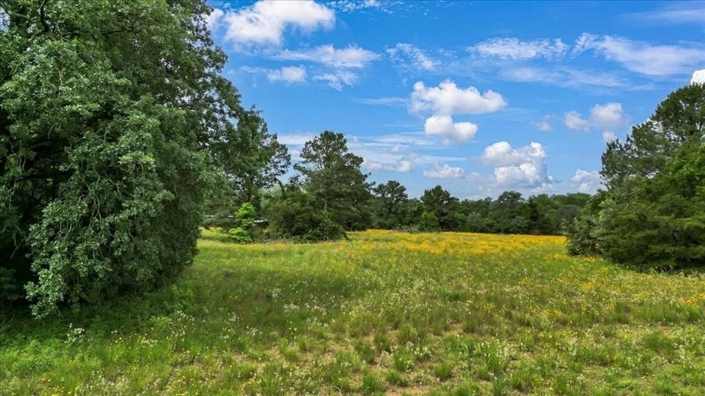 27 acres in Upshur County - photo 29