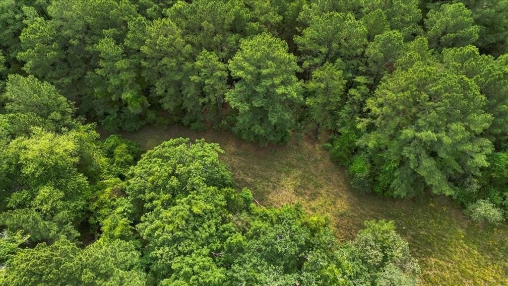 27 acres in Upshur County - photo 32