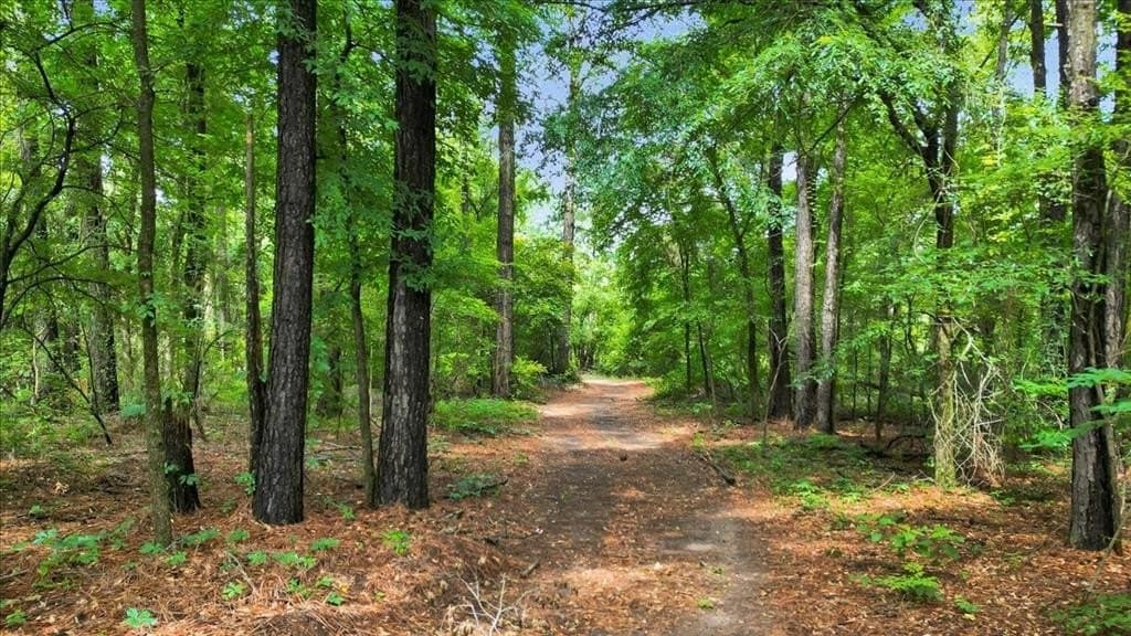 27 acres in Upshur County - photo 30