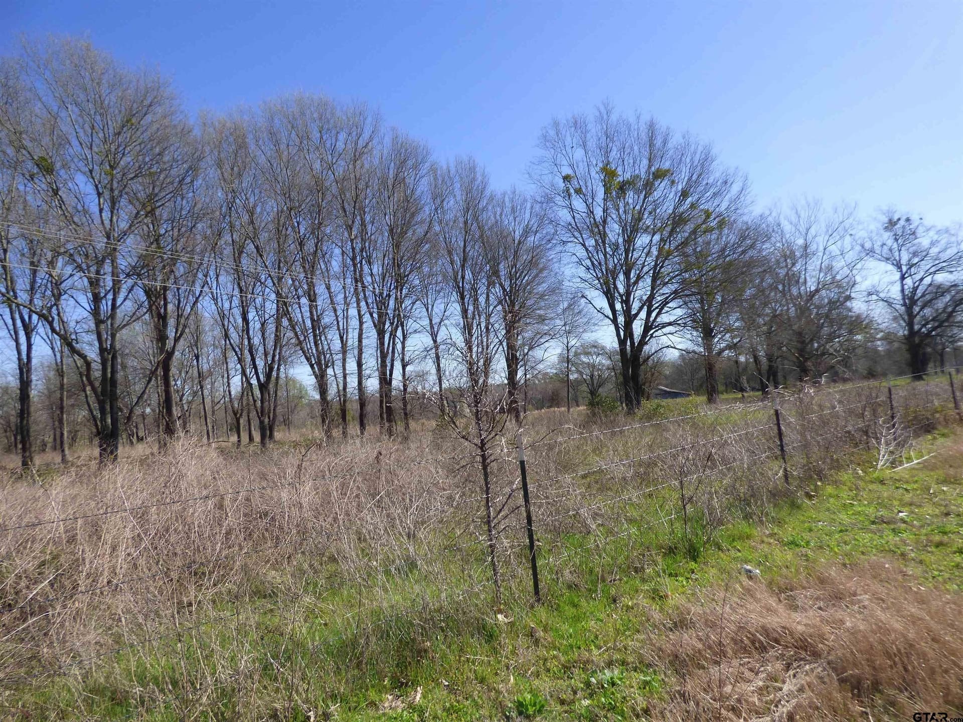 10.02 acres in Titus County - photo 2