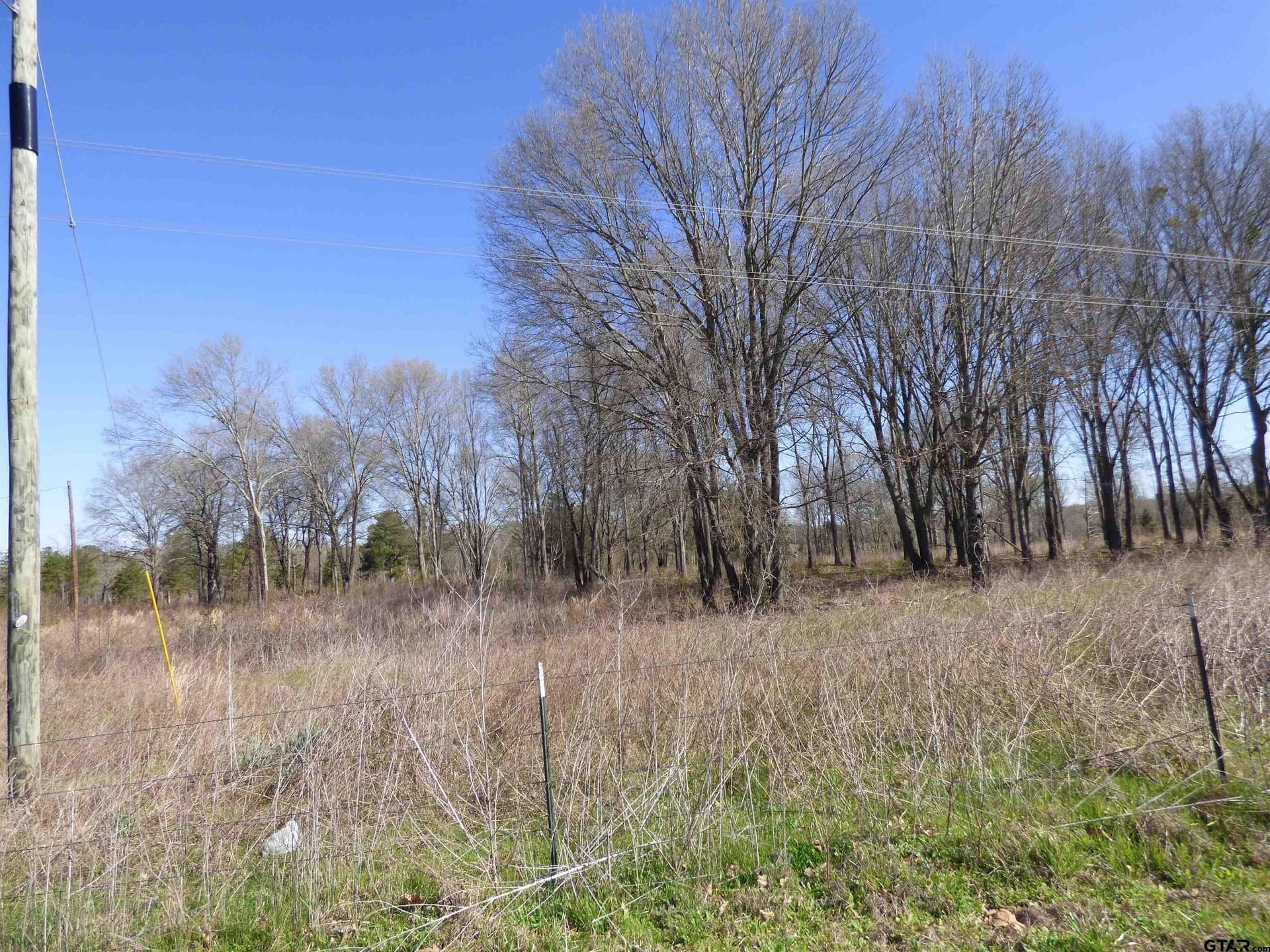 10.02 acres in Titus County - photo 3