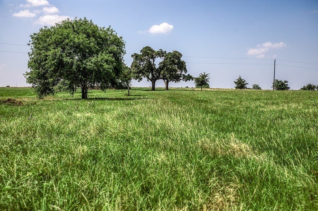 21.01 acres in Washington County - photo 3