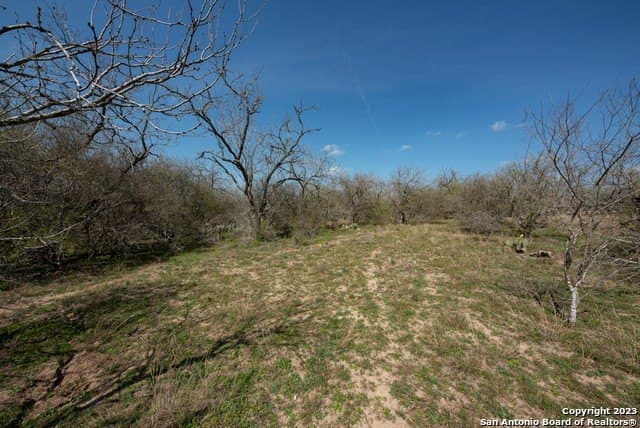 86.71 acres in Karnes County - photo 23