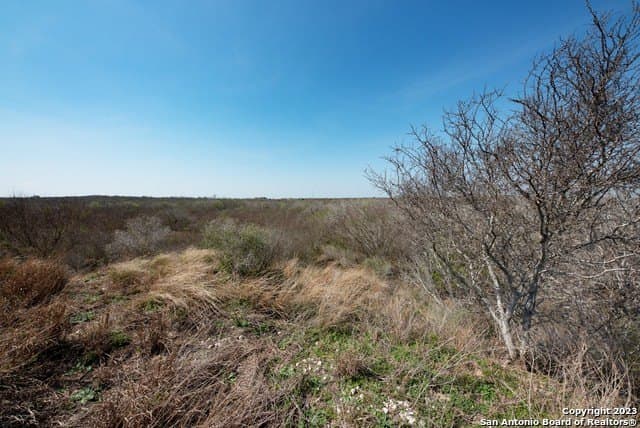 86.71 acres in Karnes County - photo 41