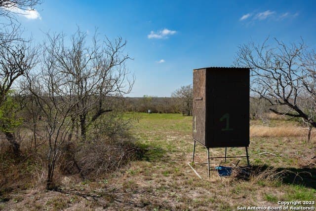 86.71 acres in Karnes County - photo 20