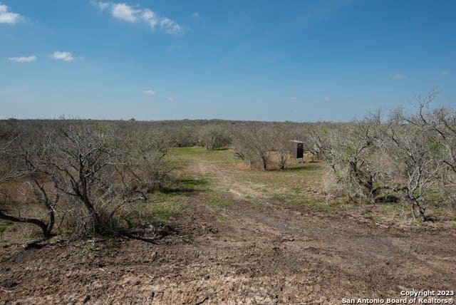 86.71 acres in Karnes County - photo 19