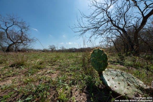 86.71 acres in Karnes County - photo 25