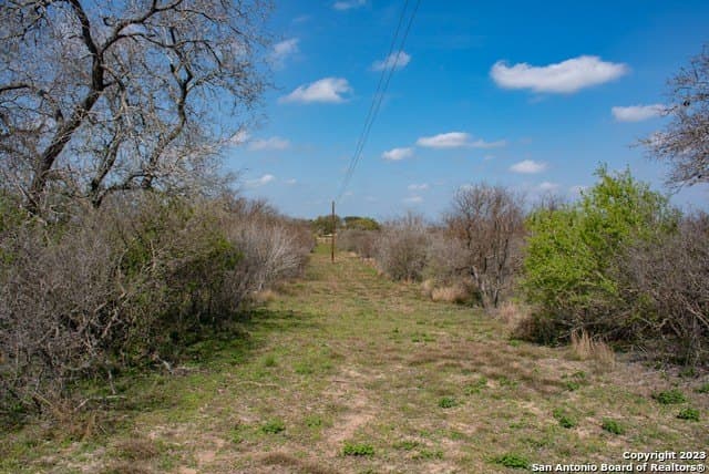 86.71 acres in Karnes County - photo 6