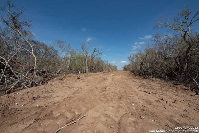 86.71 acres in Karnes County - photo 9