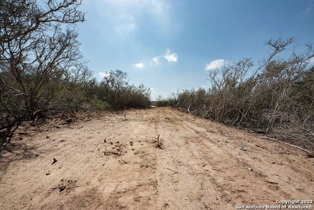 86.71 acres in Karnes County - photo 10