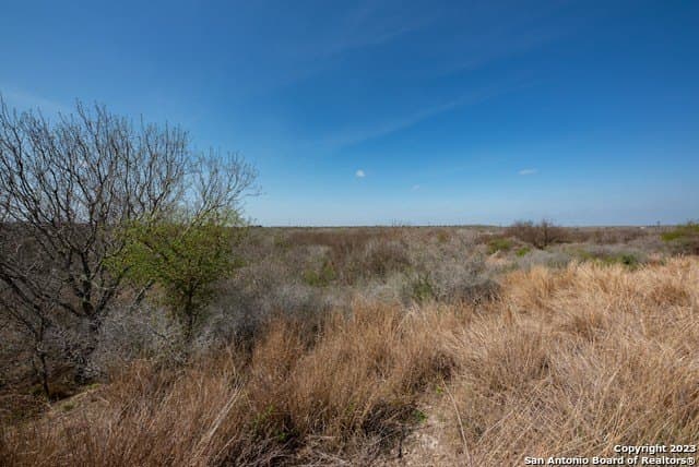 86.71 acres in Karnes County - photo 38
