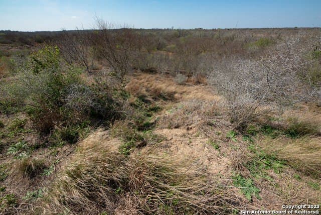 86.71 acres in Karnes County - photo 42