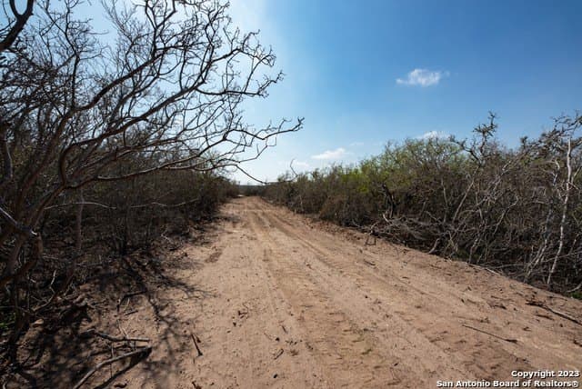 86.71 acres in Karnes County - photo 16