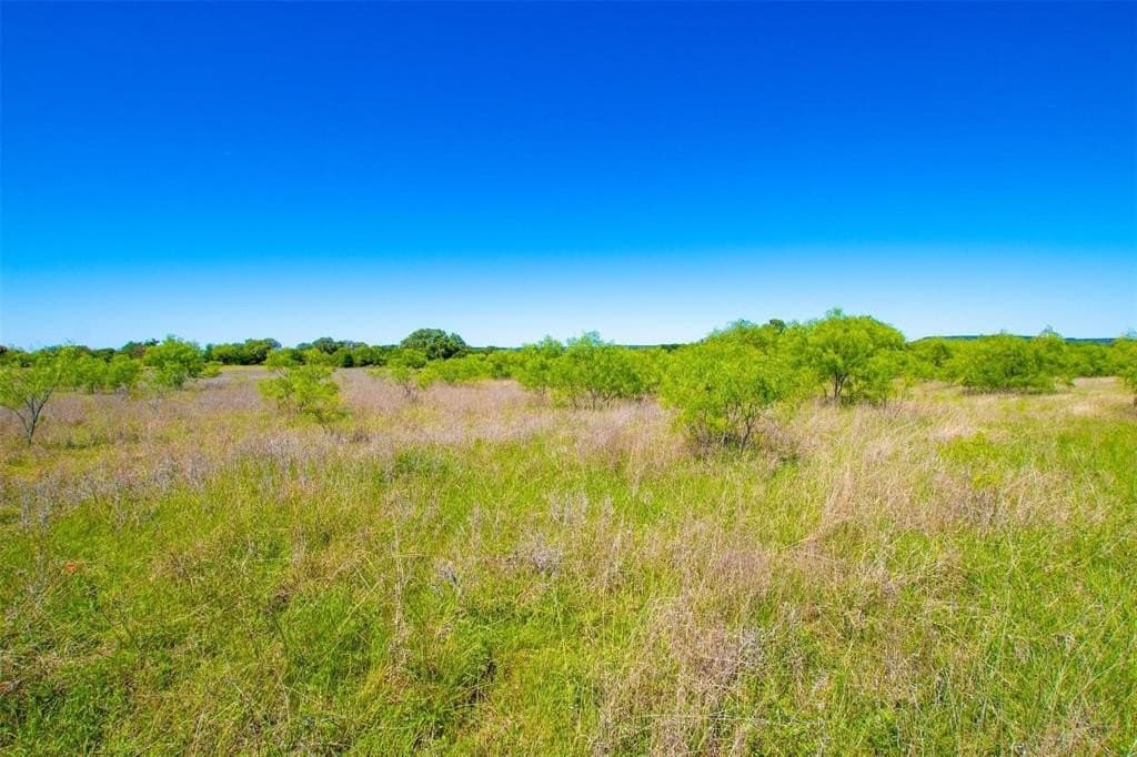 5 acres in Palo Pinto County - photo 4
