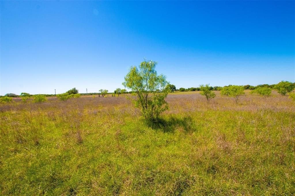 5 acres in Palo Pinto County - photo 8