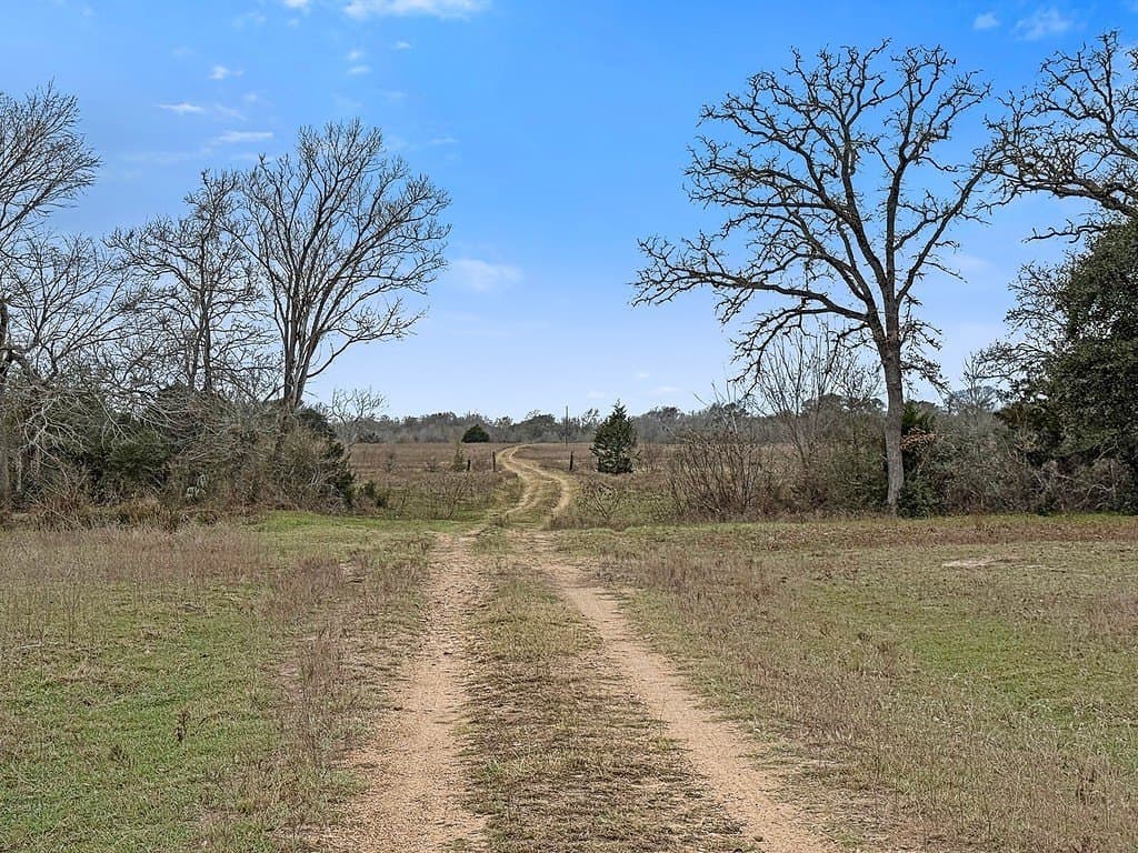 49.08 acres in Fayette County - photo 2