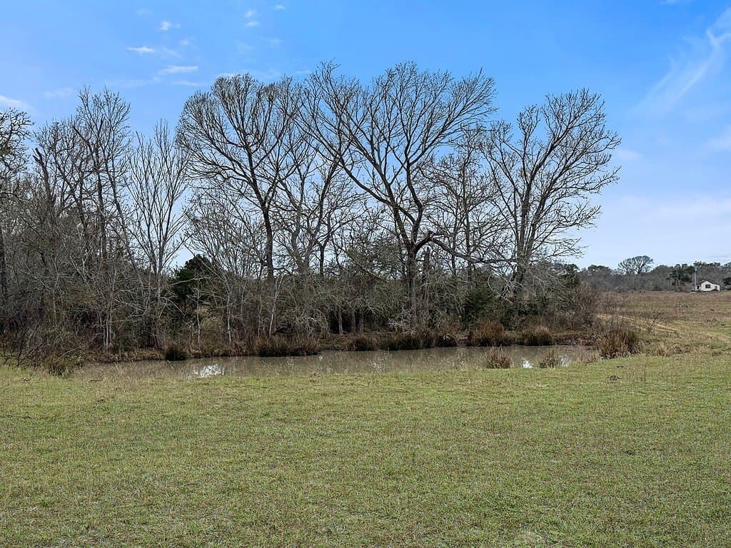 49.08 acres in Fayette County - photo 5