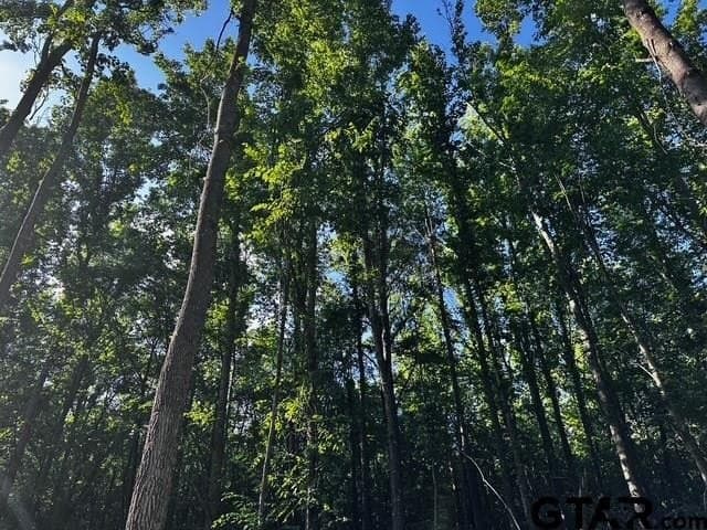 10 acres in Van Zandt County - photo 16
