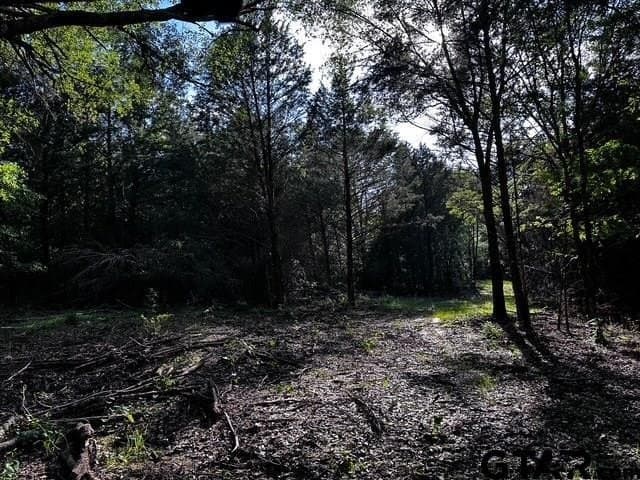 10 acres in Van Zandt County - photo 5