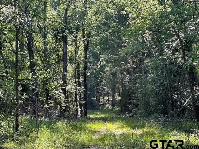 10 acres in Van Zandt County - photo 18