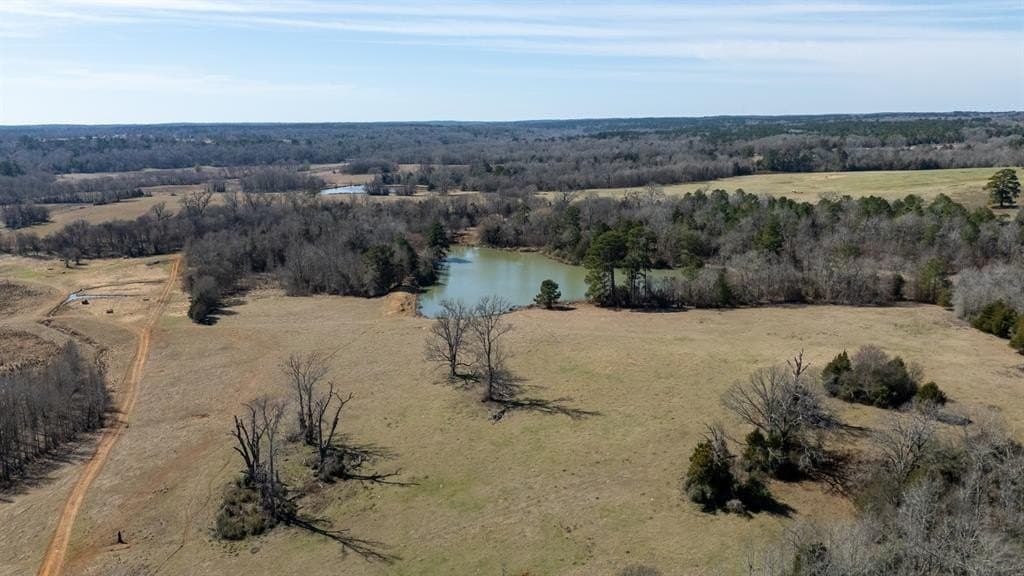 1,640 acres in Anderson County - photo 24
