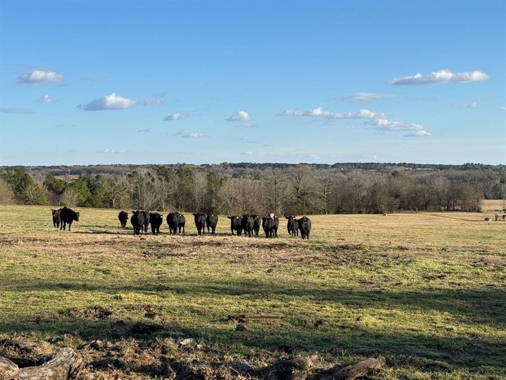 1,640 acres in Anderson County - photo 8