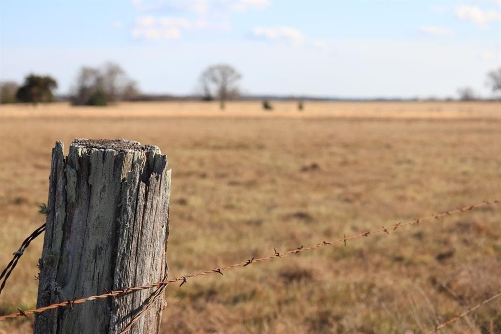 1,640 acres in Anderson County - photo 14