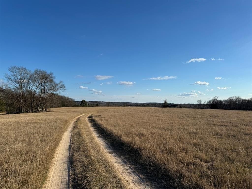 1,640 acres in Anderson County - photo 3
