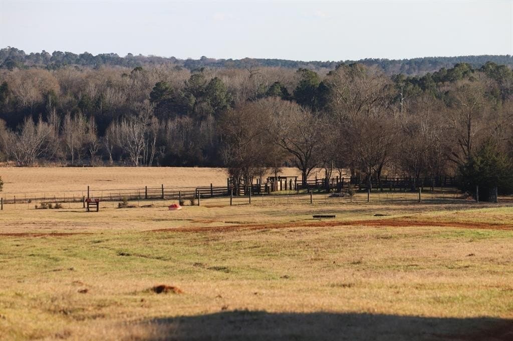 1,640 acres in Anderson County - photo 18