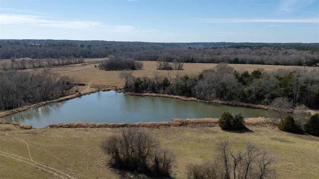 1,640 acres in Anderson County - photo 26