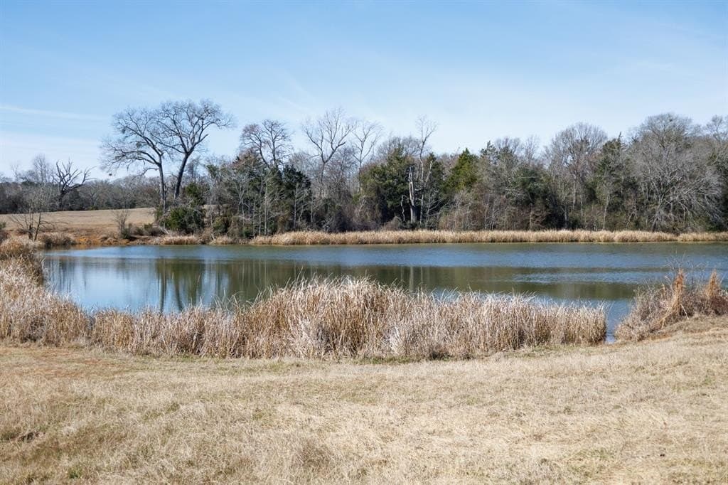 1,640 acres in Anderson County - photo 39