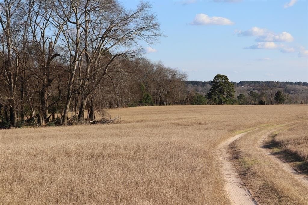 1,640 acres in Anderson County - photo 16