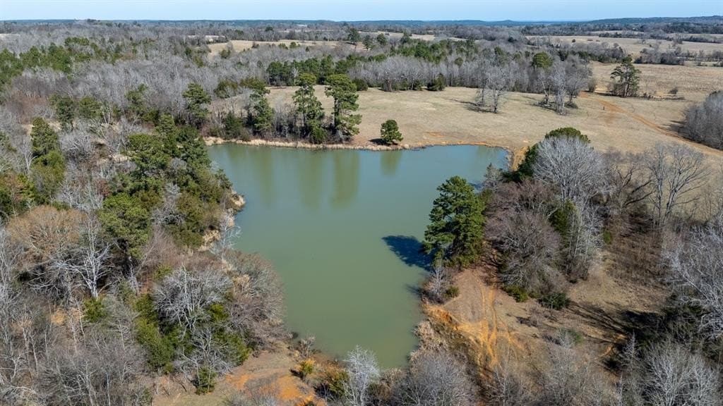 1,640 acres in Anderson County - photo 4
