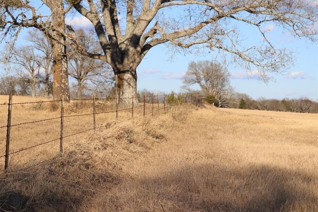 1,640 acres in Anderson County - photo 15