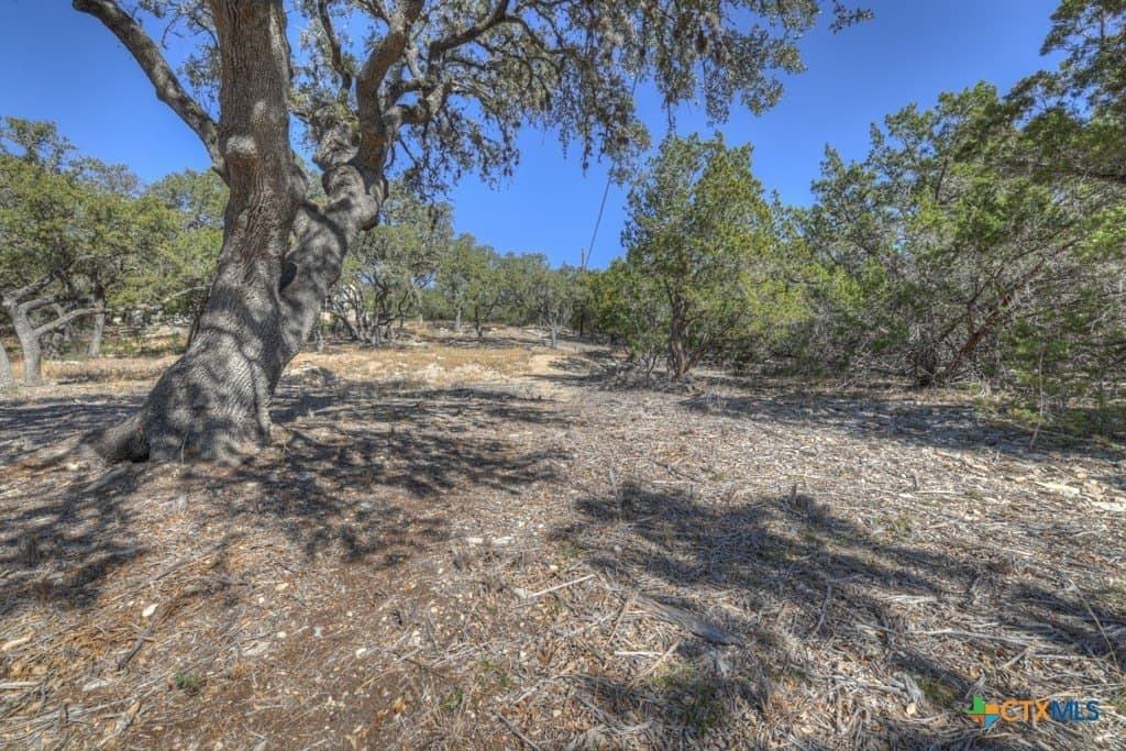 1.26 acres in Comal County - photo 29