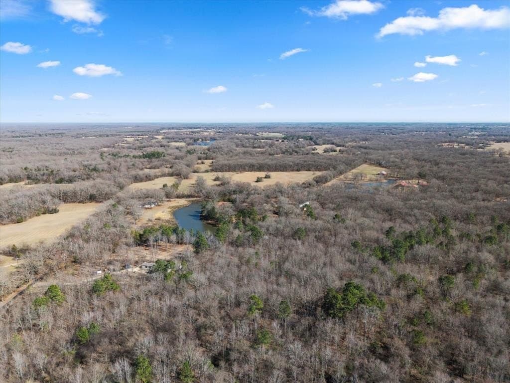 14.13 acres in Titus County - photo 36