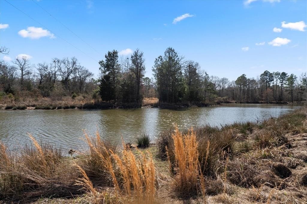 14.13 acres in Titus County - photo 3