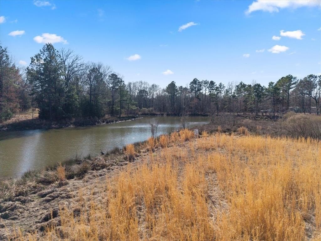 14.13 acres in Titus County - photo 12