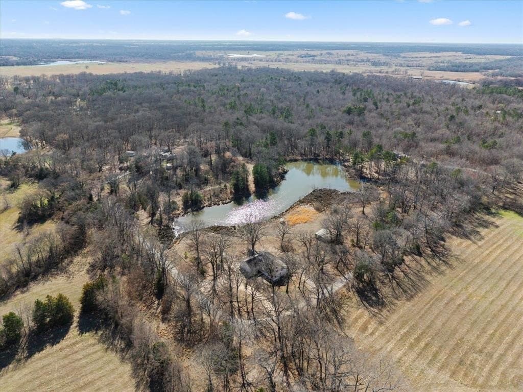 14.13 acres in Titus County - photo 37