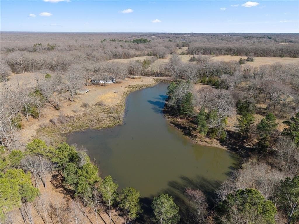 14.13 acres in Titus County - photo 4