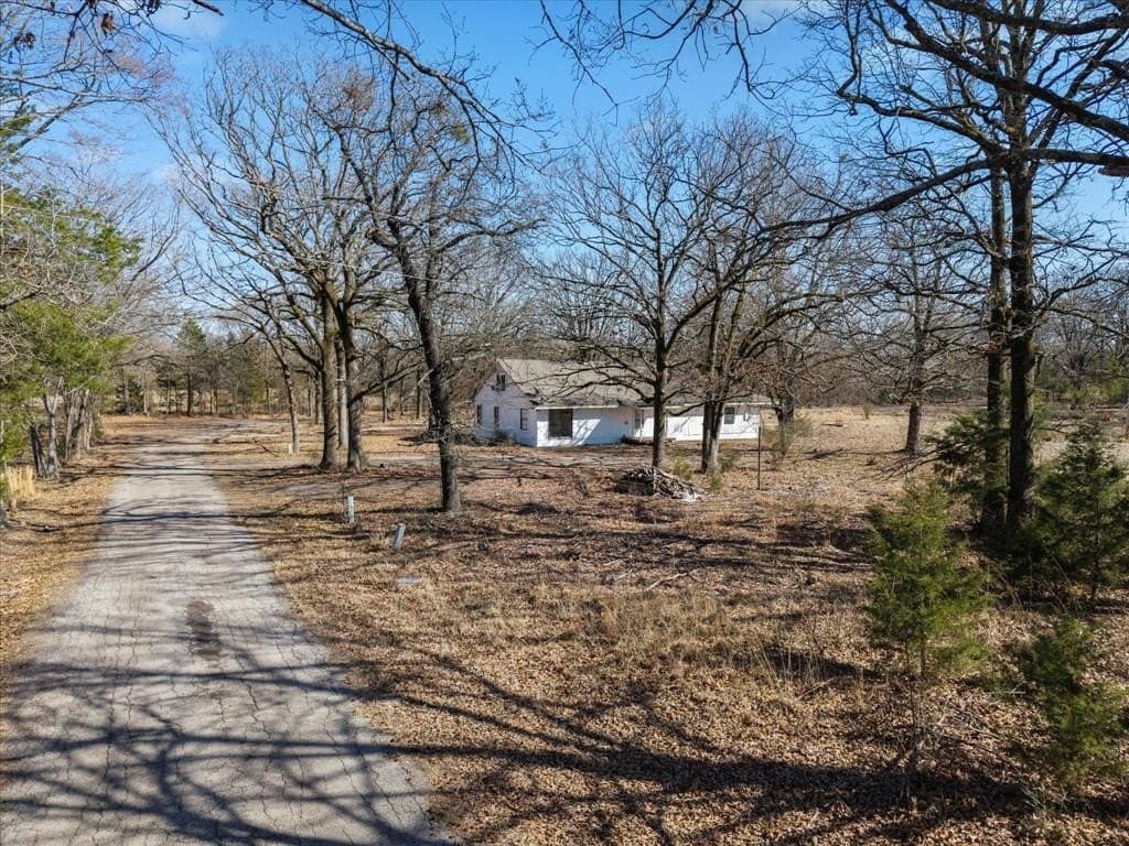 14.13 acres in Titus County - photo 6