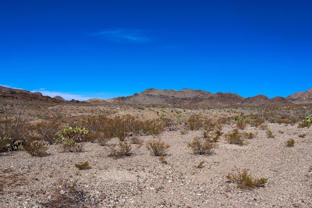 10 acres in Brewster County - photo 10