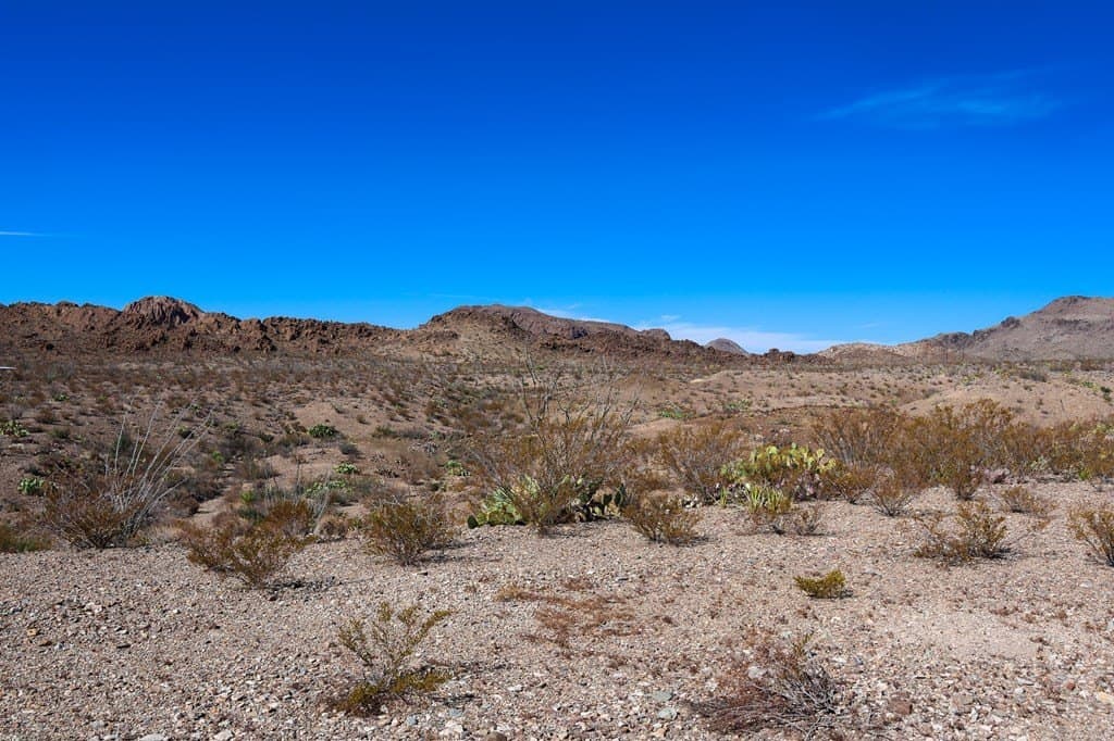 10 acres in Brewster County - photo 9