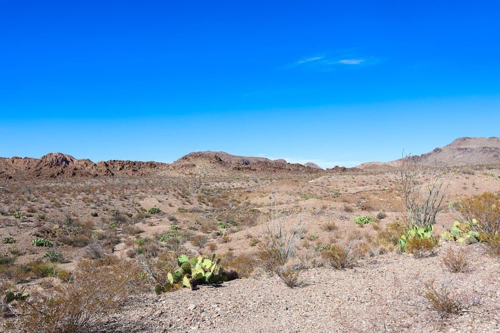 10 acres in Brewster County - photo 7
