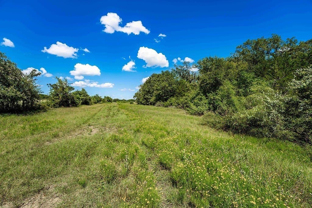 52.16 acres in Colorado County - photo 3