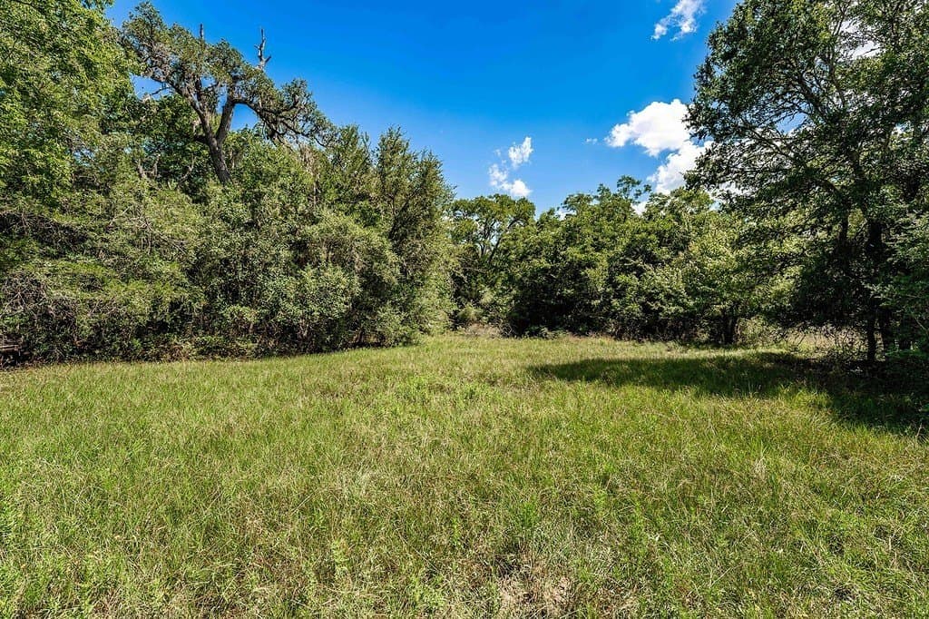 52.16 acres in Colorado County - photo 4