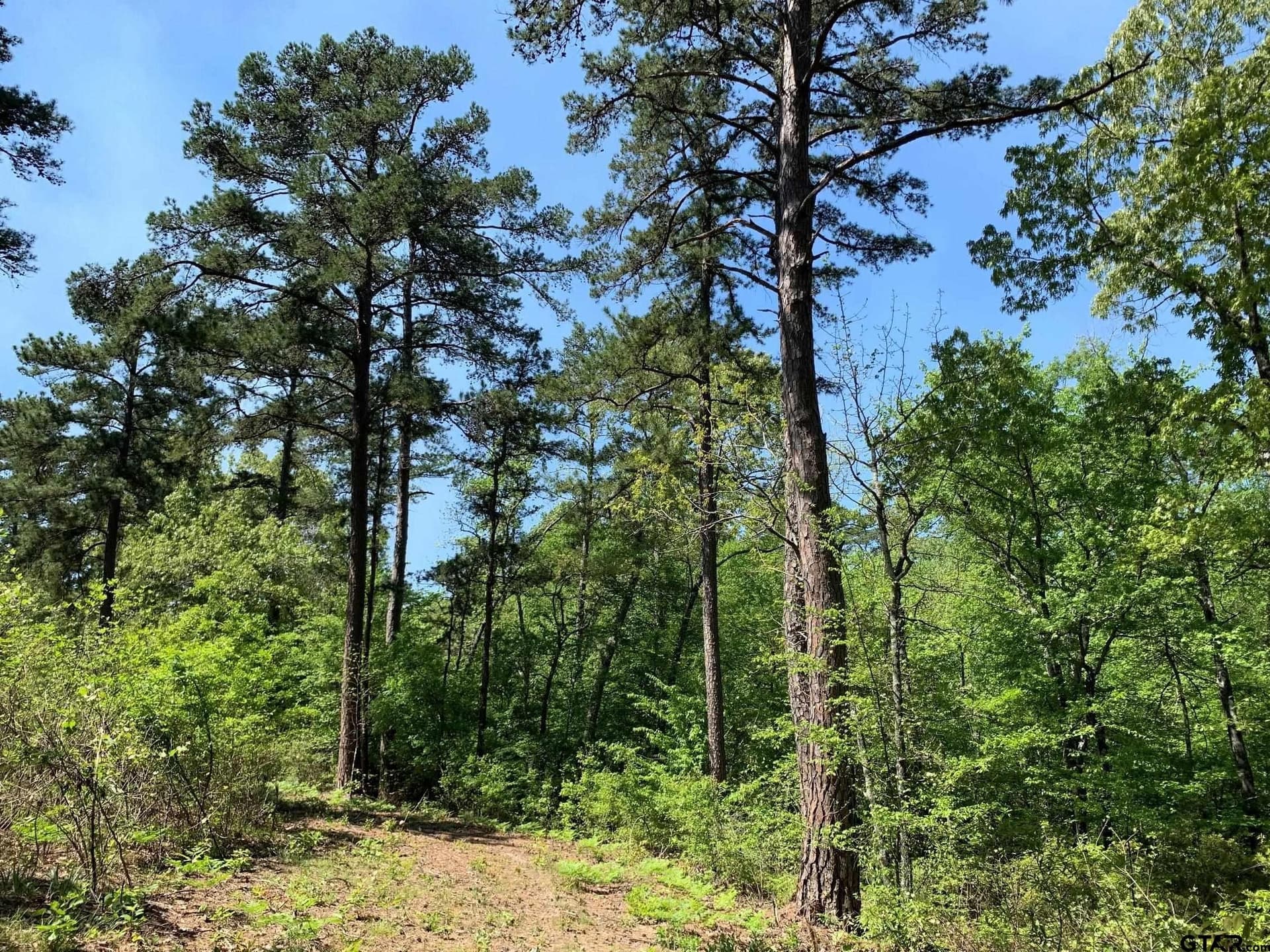 42.53 acres in Henderson County - photo 9
