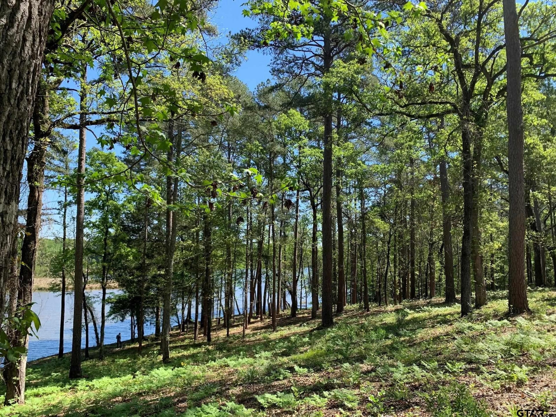 42.53 acres in Henderson County - photo 3