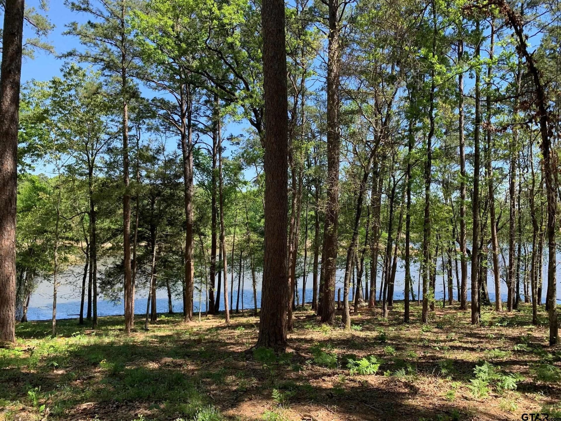42.53 acres in Henderson County - photo 4