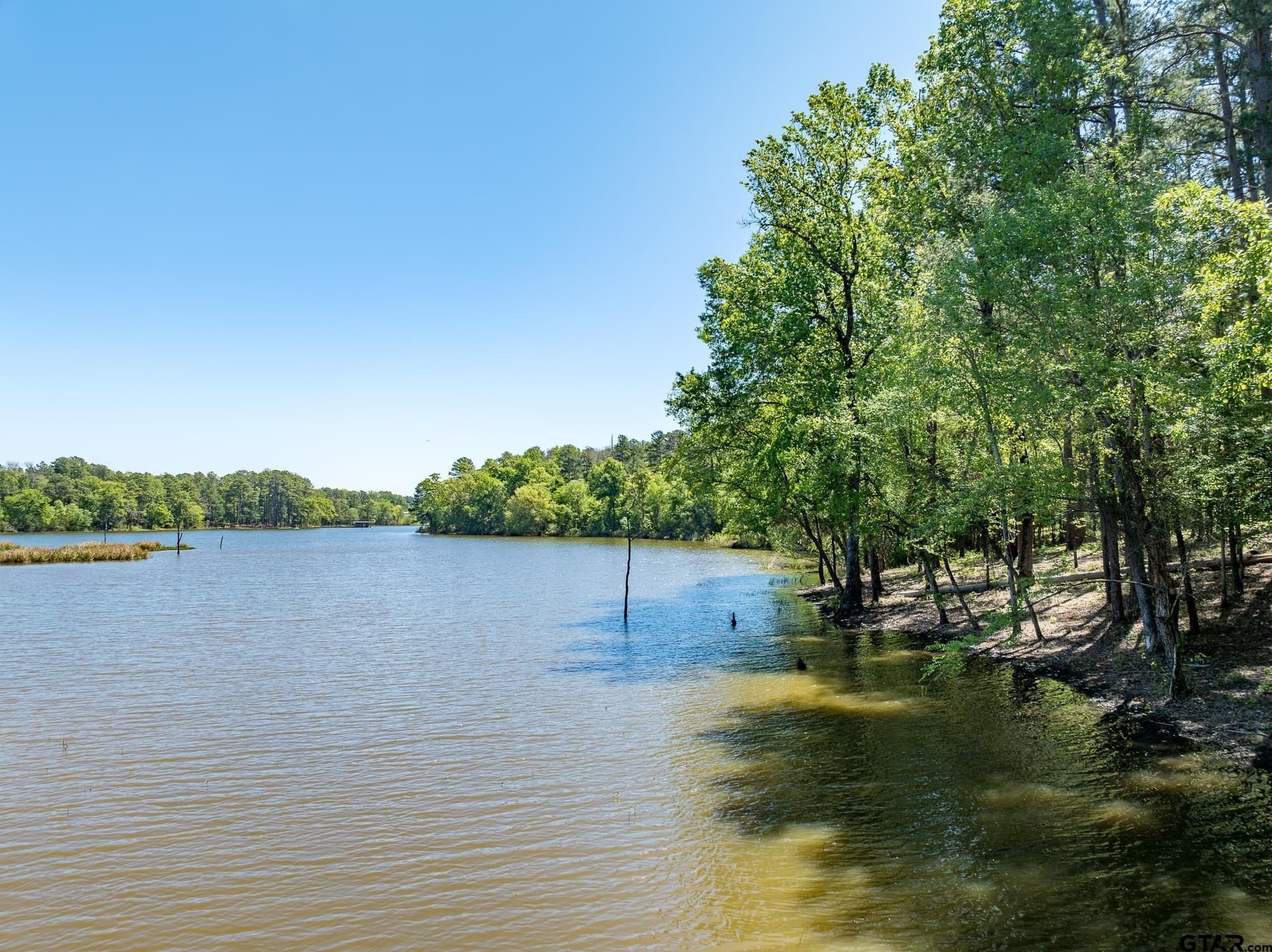 42.53 acres in Henderson County - photo 12